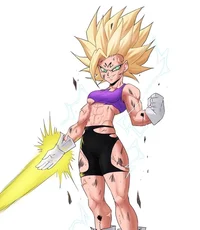 DBZ - Son Bra