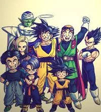 Z fighters