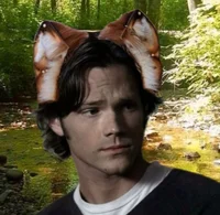 Deer Sam Winchester 
