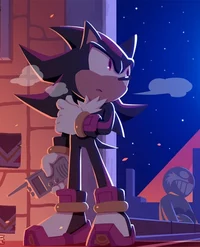 Shadow The Hedgehog