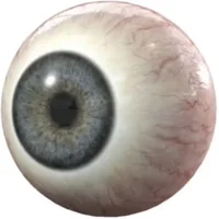 eyeball