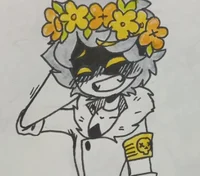 Serial designation N