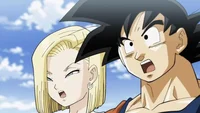 Goku and 18