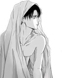 Levi Ackerman 