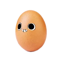 Egg shelly