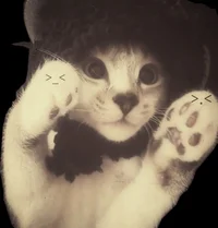 Сашаа