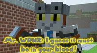 Mr WPNZ