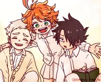 K - TPN Trio