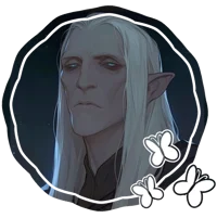 13 - Elf Husband