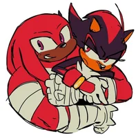 Knuckles x Shadow 