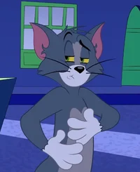 Tom The Cat