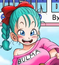 Bulma Brief