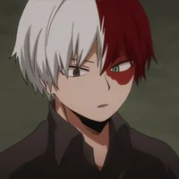 Shoto Todoroki