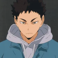 HQ Iwaizumi Hajime 