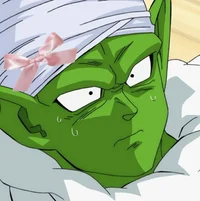 piccolo