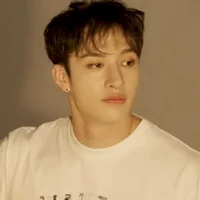 Bang Chan 