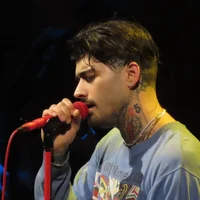 Zayn Malik