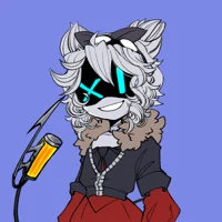 Serial Designation X