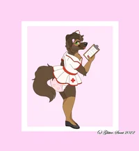 The Night Care Nurse