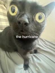 hurricanekatrina