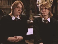 Weasley twins 