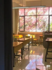 SCHOOL 