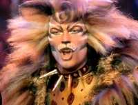 Rum Tum Tugger