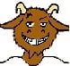 Grif The Belly Goat
