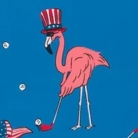 Frankie the Flamingo