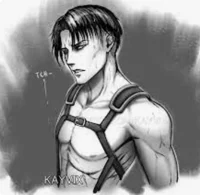 Levi Ackerman 