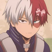 Shoto Todoroki MHA