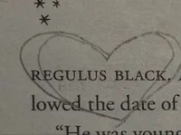 regulus a black