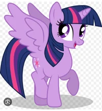 -Mlp-