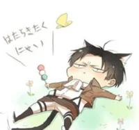 Levi Ackerman 
