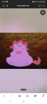 Fluffy and Mr Fluffy