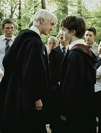 Harry y Draco
