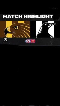 Collingwood Vs Hawks
