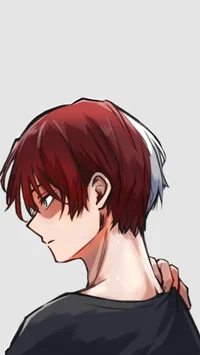 Shoto Todoroki 