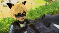 Cat Noir