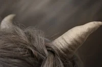 Grover Underwood pjo