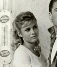 Sandy- The Outsiders