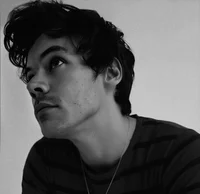 Harry Styles - mafia