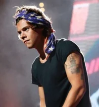 harry styles - 2013
