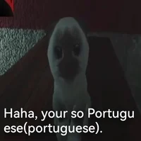 Portuguese kitty