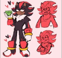 Shadow The Hedgehog 