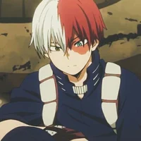 BL- Todoroki