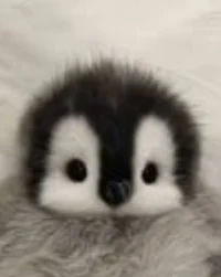 Baby penguin
