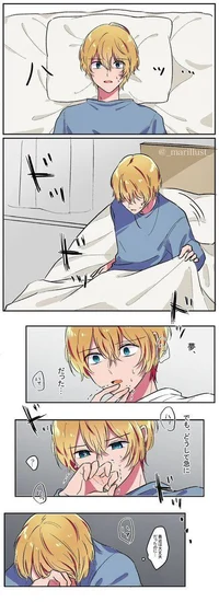 Хошино Аква 