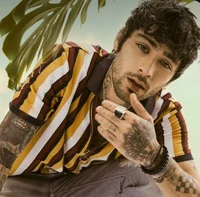Zayn Malik-2019