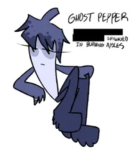 DS X GP -OBJECTIFIED